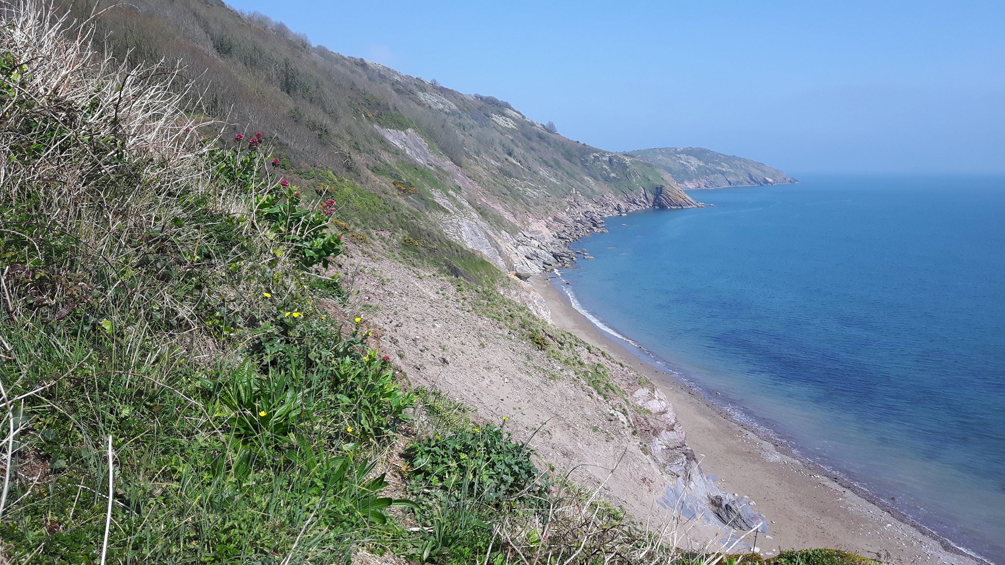 Habitat at Higher Brixham